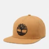 Baseballcap with flat brim