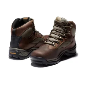 Chocorua Gore-Tex Stiefel „Braun“
