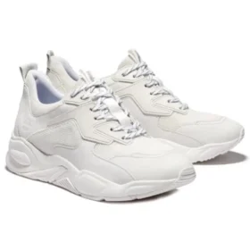 Delphiville „White“