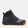 Herren-Arbeitsstiefel Morphix 6-Inch Boot mit Zehenschutz – Anthrazit/Weizen Herren-Arbeitsstiefel Morphix 6-Inch Boot mit Zehenschutz – Anthrazit/Weizen