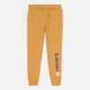 Herren-Jogginghose mit linearem Logo – Weizen-Stiefel Herren-Jogginghose mit linearem Logo – Weizen-Stiefel