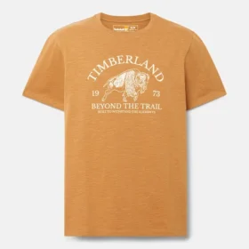 Herren-T-Shirt mit Grafikprint und Shorts-Ärmeln