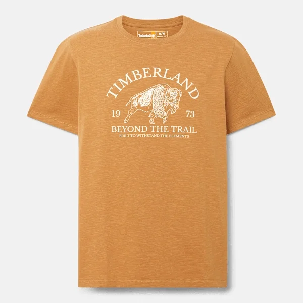 Herren-T-Shirt mit Grafikprint und Shorts-Ärmeln Herren-T-Shirt mit Grafikprint und Shorts-Ärmeln