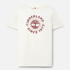 Herren-T-Shirt mit Grafikprint und Shorts-Ärmeln
