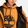Wasserdichte Shell-Jacke für Herren Wasserdichte Shell-Jacke für Herren